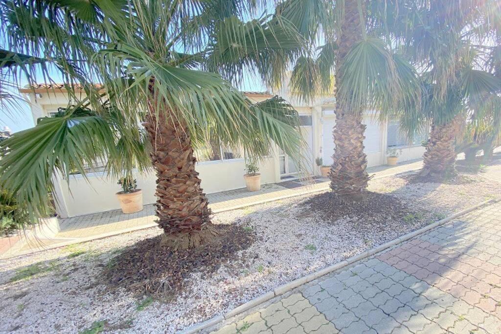 Village Naturiste Studio en RDJ ,Piscine ,Parking Agde Exterior foto